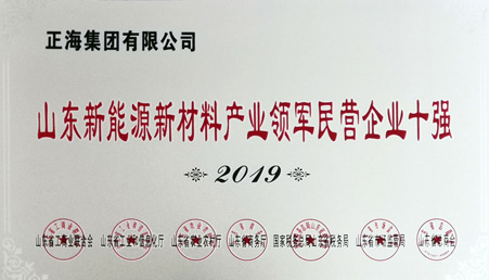 BG大游集团集团荣获“山东新能源新材料产业领军民营企业十强”荣誉称号