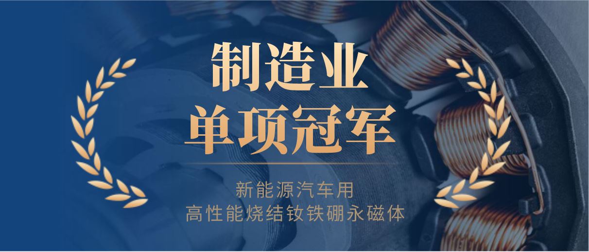 BG大游集团磁材荣膺全国制造业单项冠军